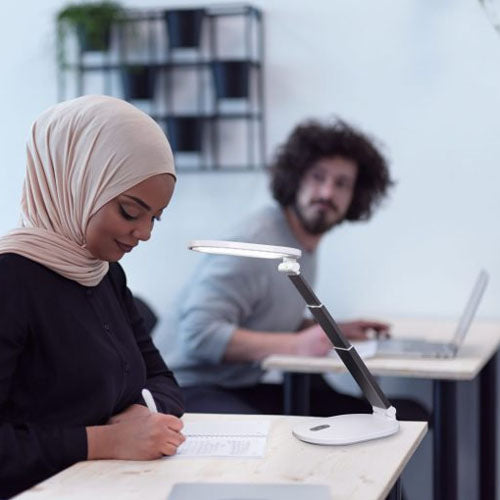 Daylight Foldi Go Portable LED Lamp