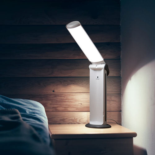 Daylight Twist2 Portable LED Lamp