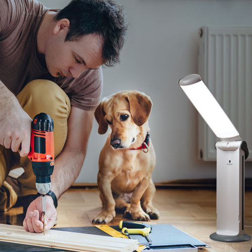 Daylight Twist2 Portable LED Lamp